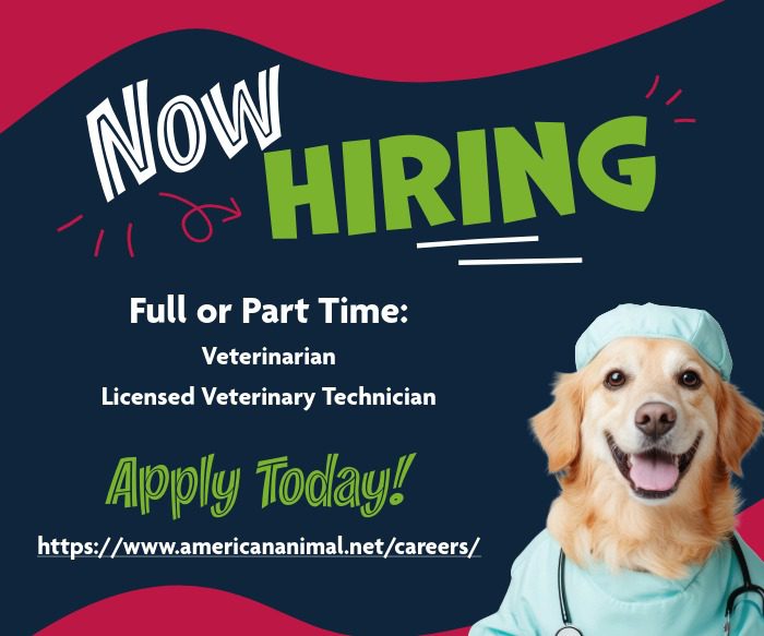 American Ah Now Hiring Graphic Popup