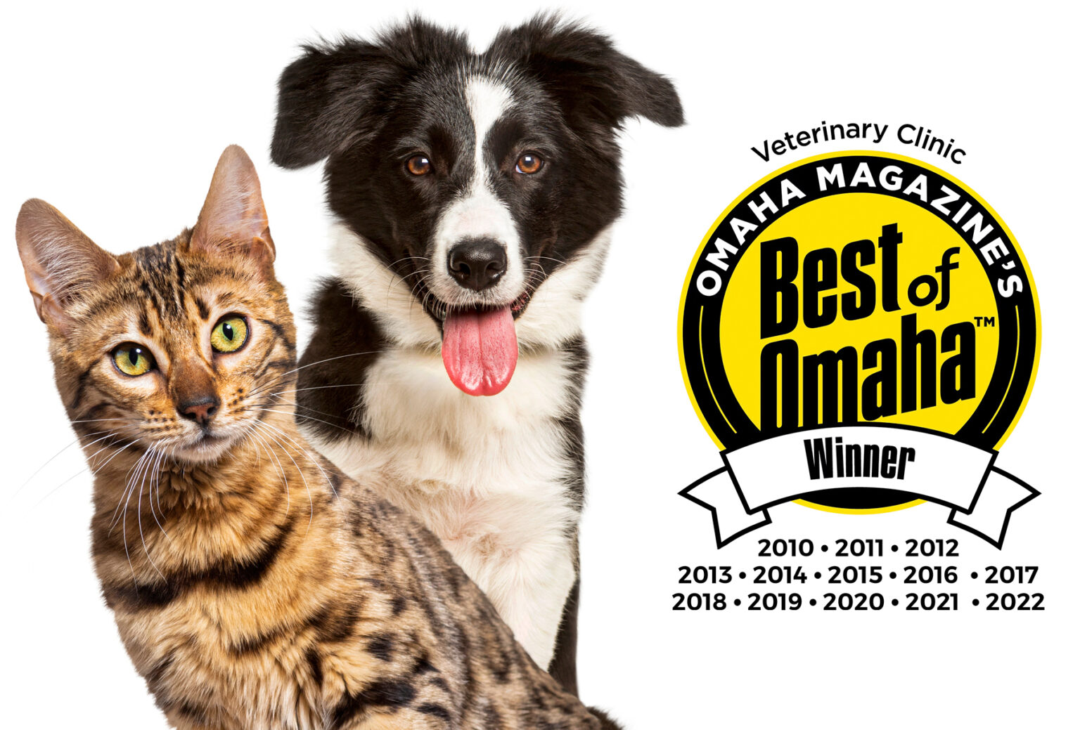 Animal Hospital & Veterinarian in Omaha, NE American Animal Hospital