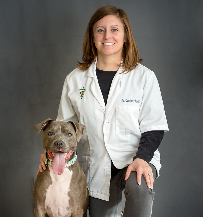 Our Doctors in Omaha, NE | American Animal Hospital Our Doctors in Omaha, NE | American Animal Hospital