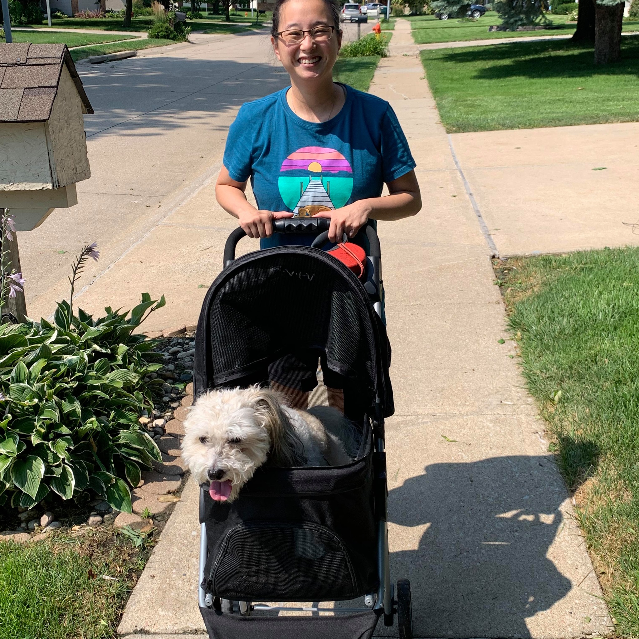 Christina Pushing Dog In Stroller Christina Pushing Dog In Stroller