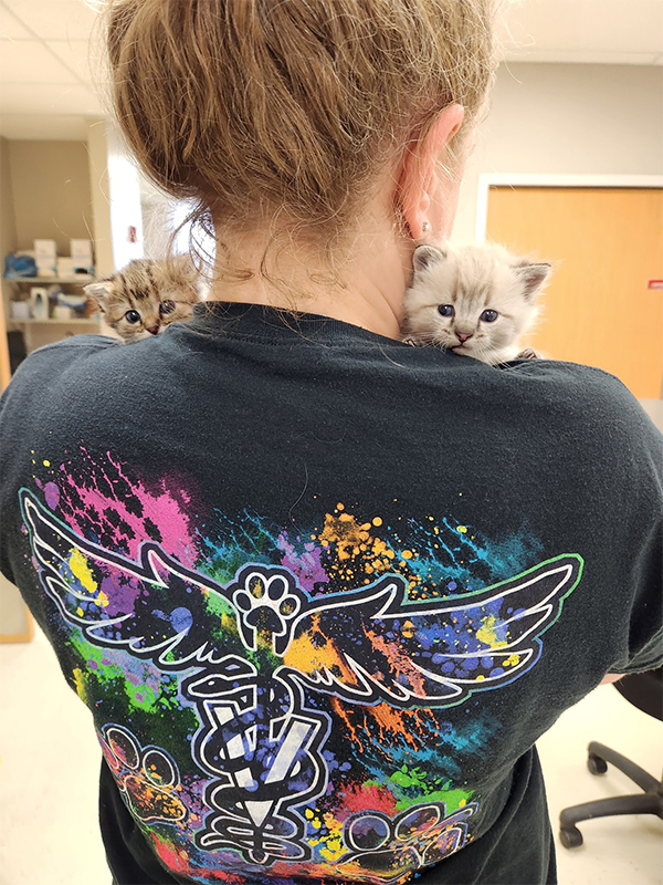 female posing with tiny white kitten