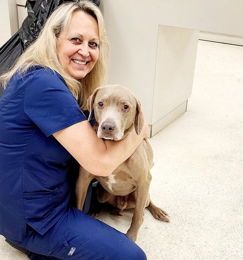 Dr Bohn, blonde female wearing blue scrubs posing with brown dog