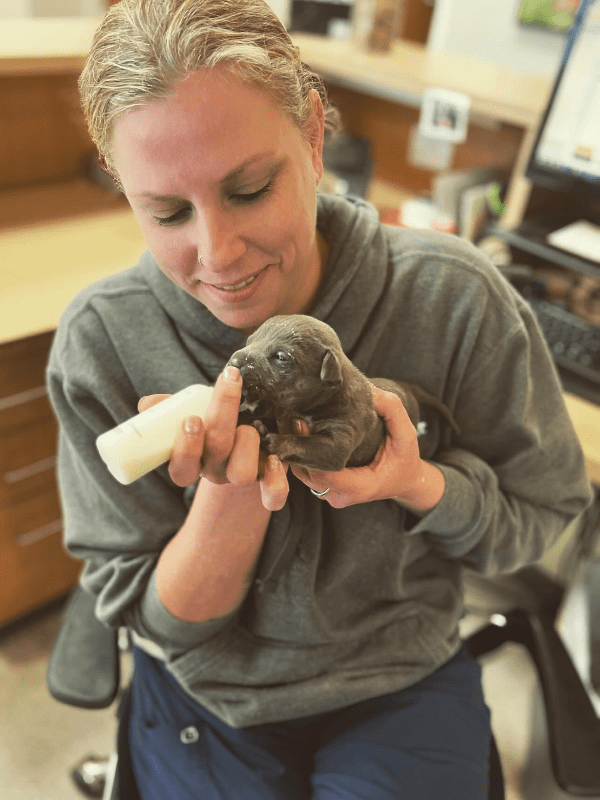 Blonde female bottle feeding tiny puppy