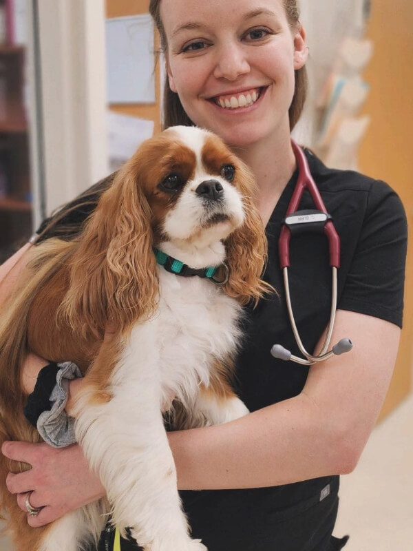 Female Holding Cocker Spaniel