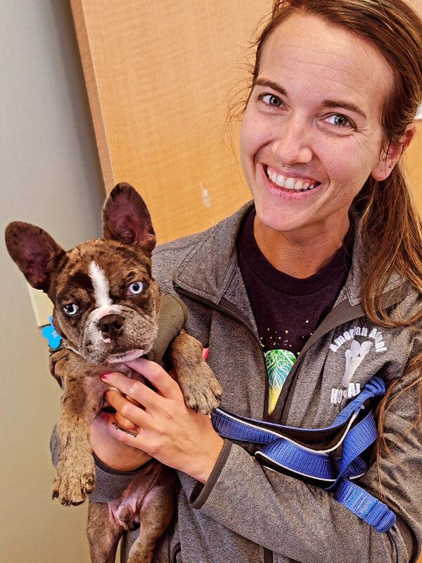 Female Holding Small Dog With Blue Eyes