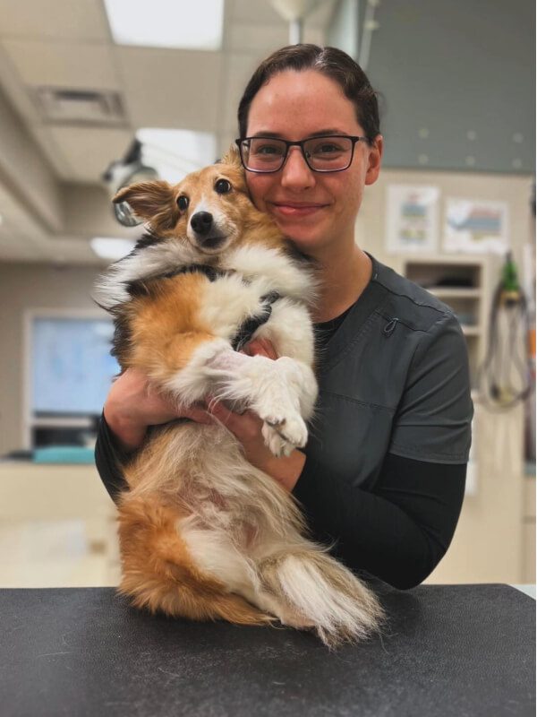 Female With Glasses Holding Small Dog