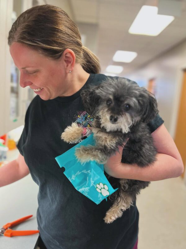 Woman Holding Gray Puppy