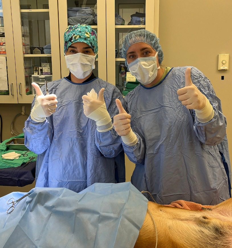 female veterinarians preparing for surgery