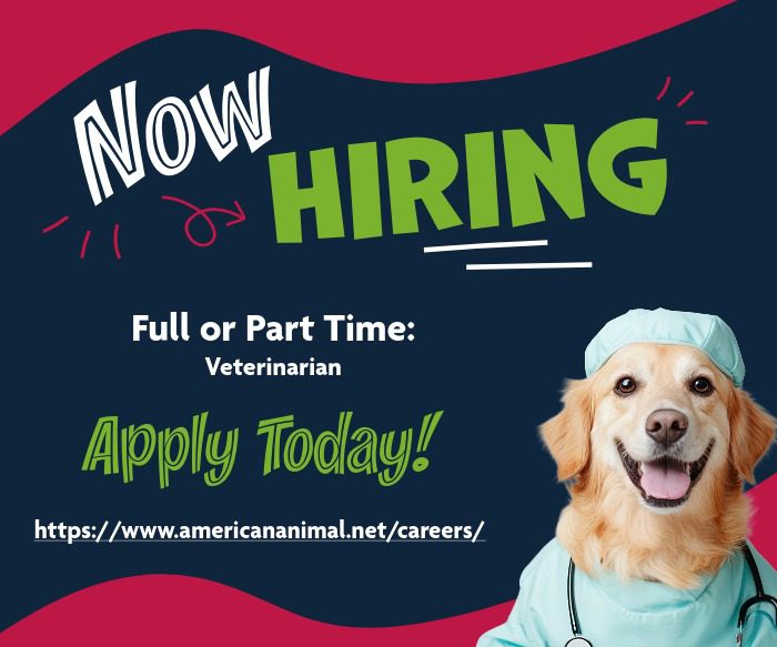 Now Hiring Pop Up Graphic