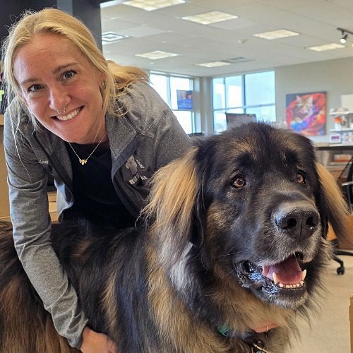 blonde female bending down by a Saint Bernard
