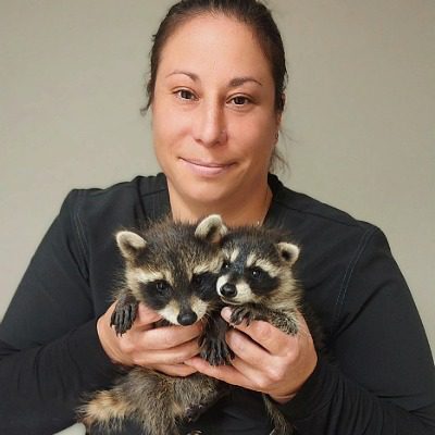 Christina Bio Pic, female with brown hair holding 2 baby raccoons