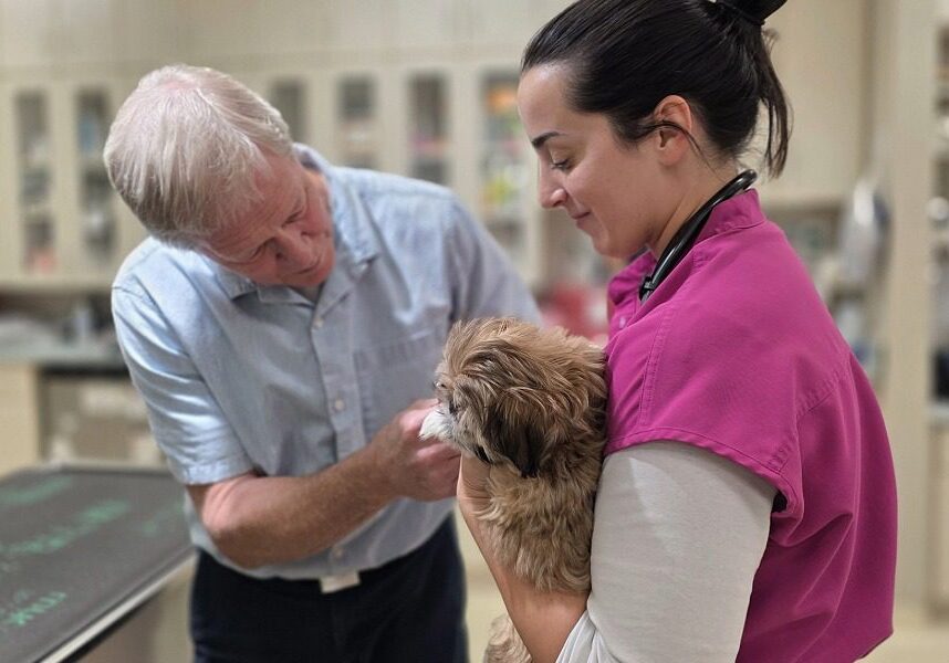 male doctor examining dog being held by a female in pink scrubs