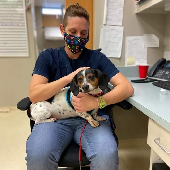 Jess Holding Dog In Office Chair