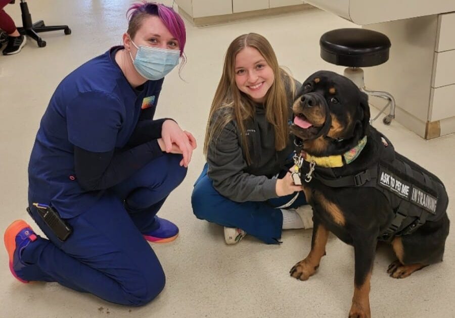 Staff With Police Dog